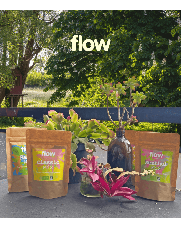 Photo du pack découverte Flow Fleurs