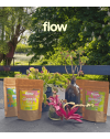 Photo du pack découverte Flow Fleurs